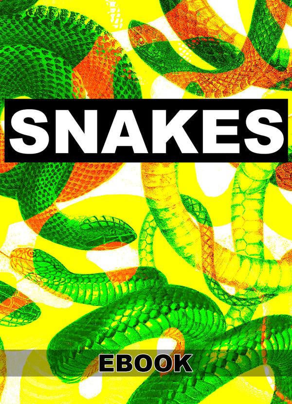 洋書THE MINI-ATLAS OF SNAKES アトラス　ヘビ Snakes | Shop Illustrated Books, eBooks and Prints