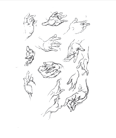 Anatomy of Hands