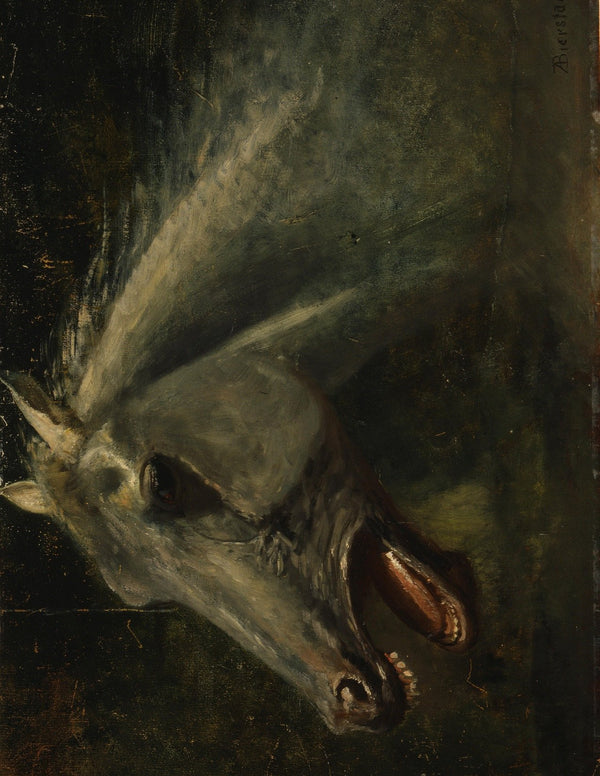 the animal book 2 part 16