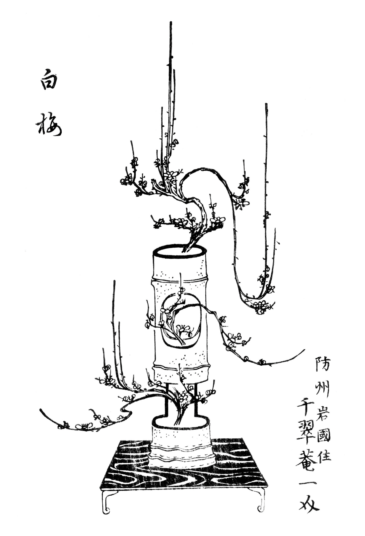 Book Art of Ikebana big fish