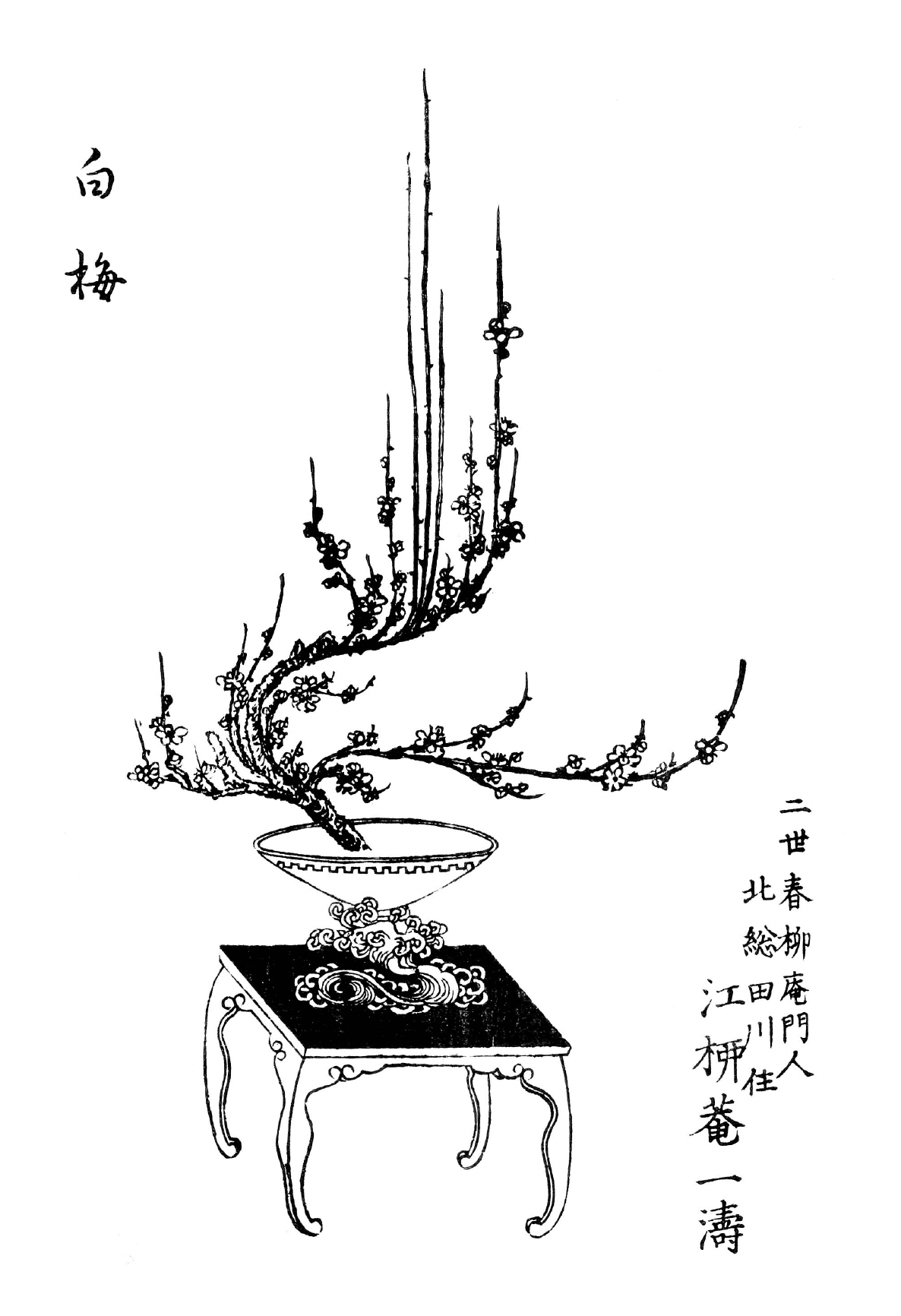 Book Art of Ikebana big fish