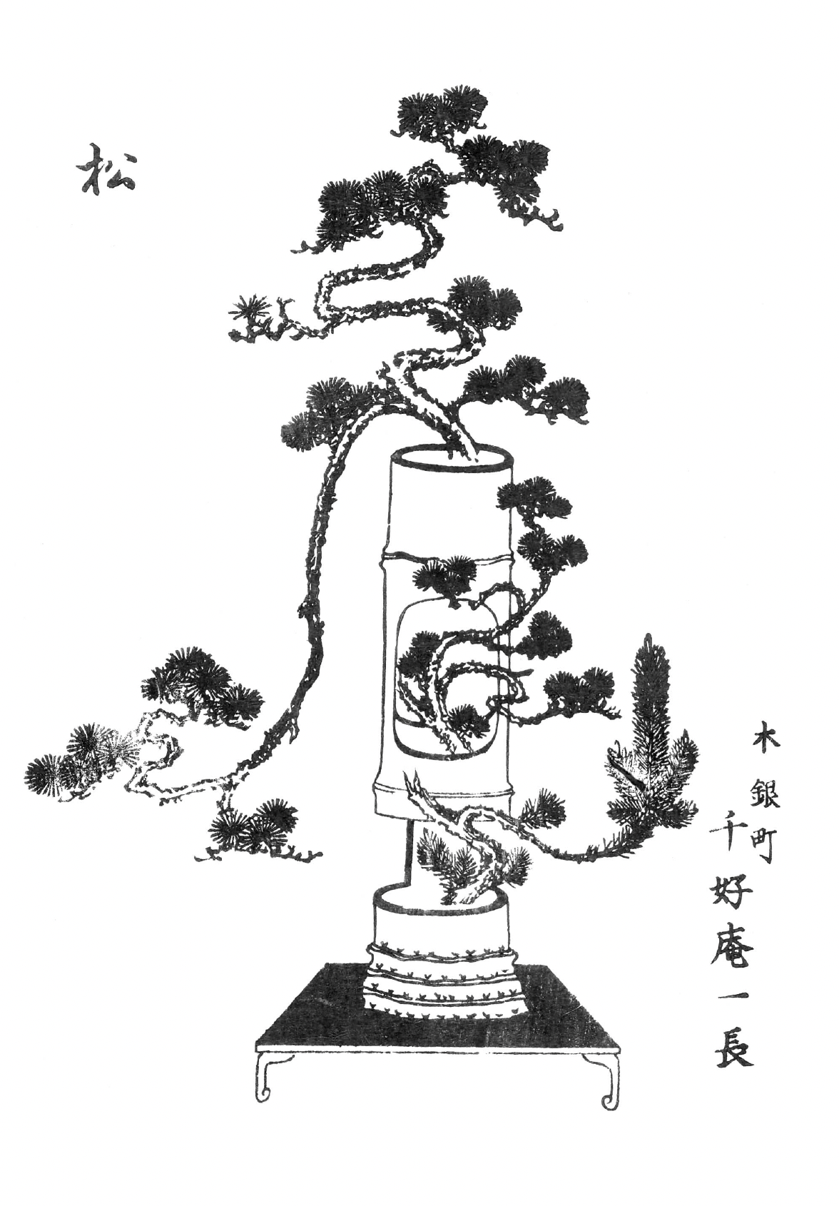 eBook Art of Ikebana big fish