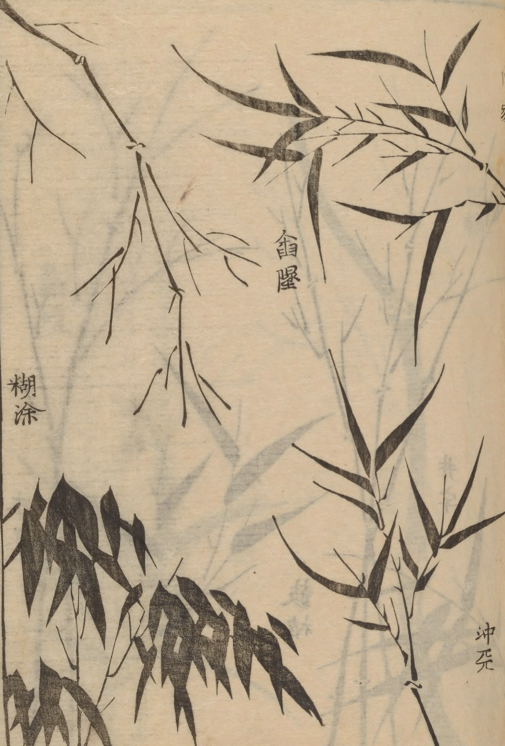 eBook Branch Bamboo & Grass Illustrated Monthly