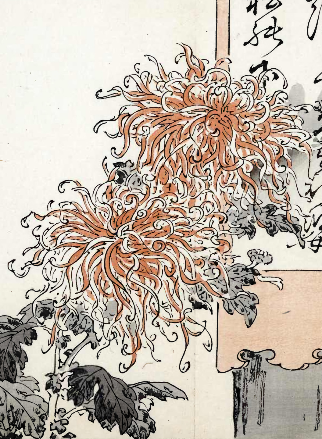 eBook Chrysanthemums big fish