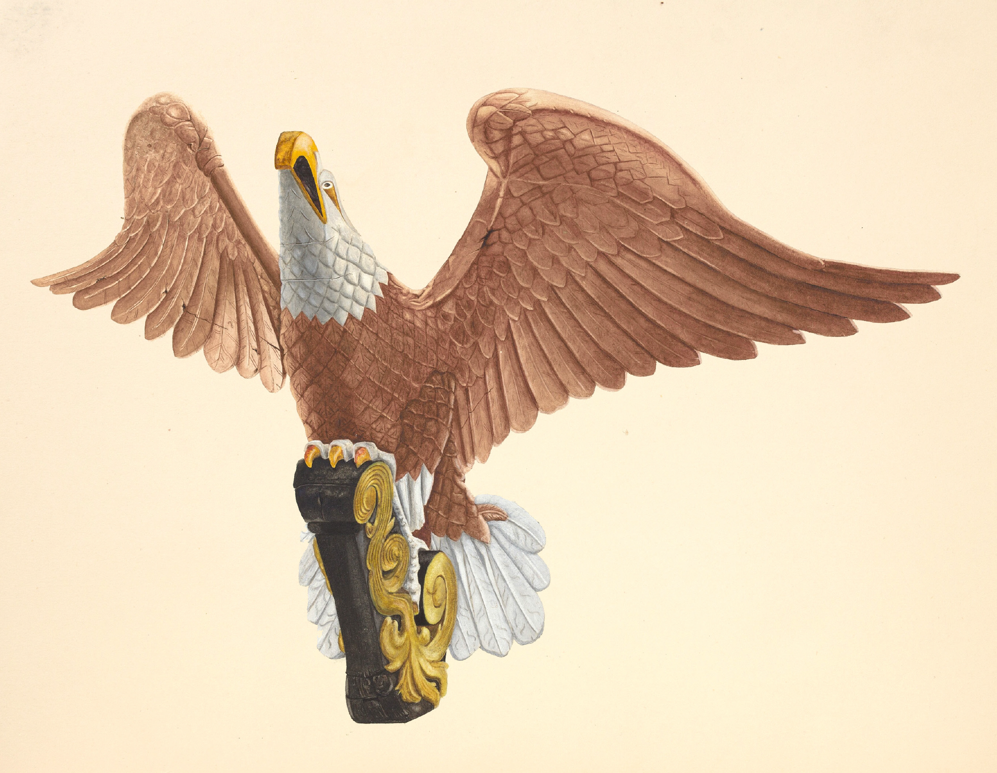 eBook Eagle and Hawk Illustrated Monthly