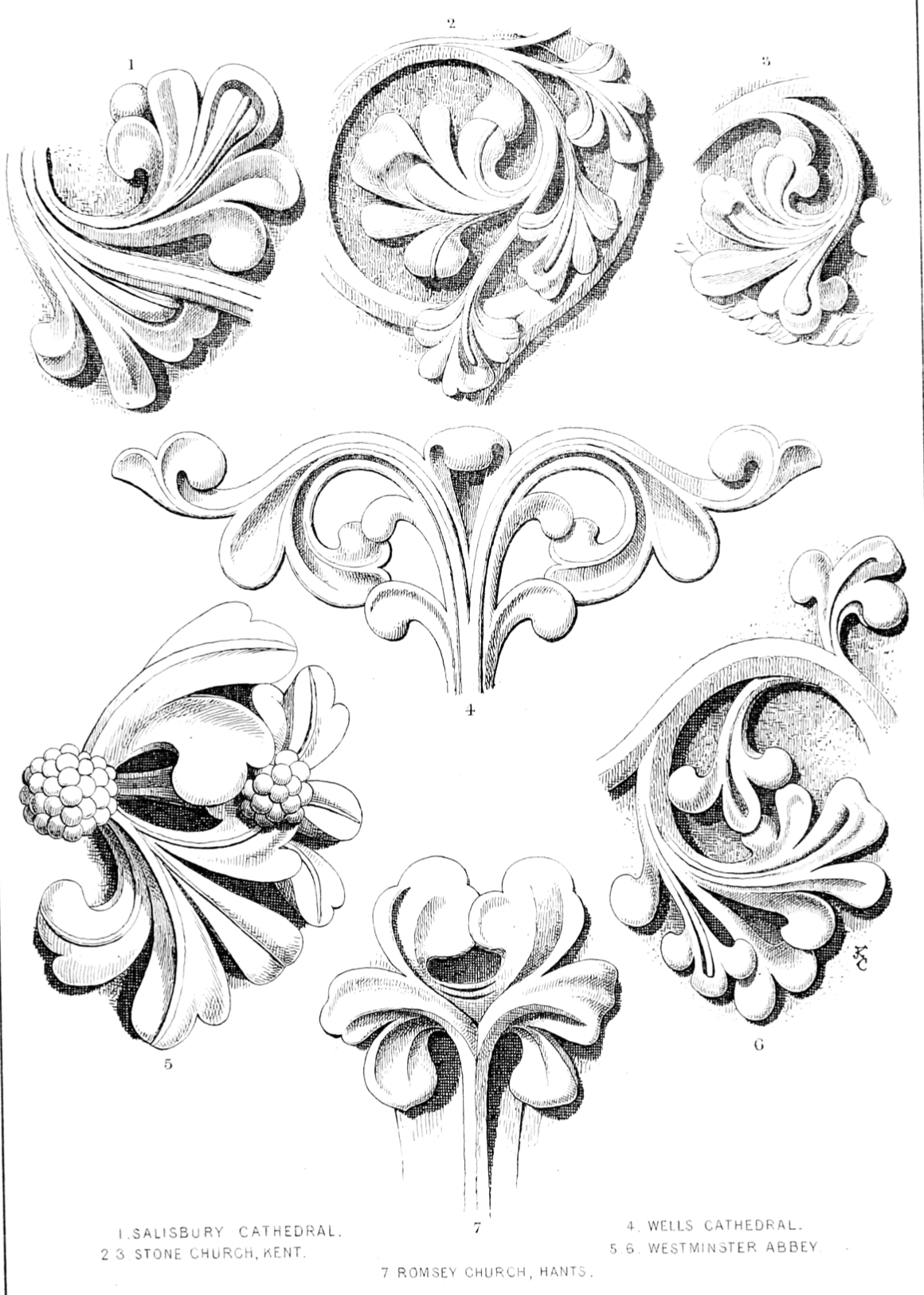 eBook English medieval foliage Illustrated Monthly