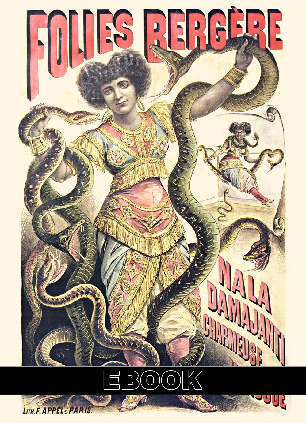 French Posters ebook