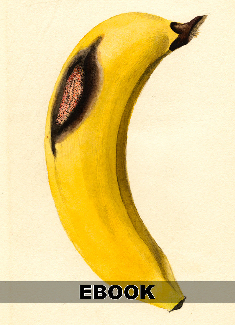 eBook Fruit Illustrated Monthly