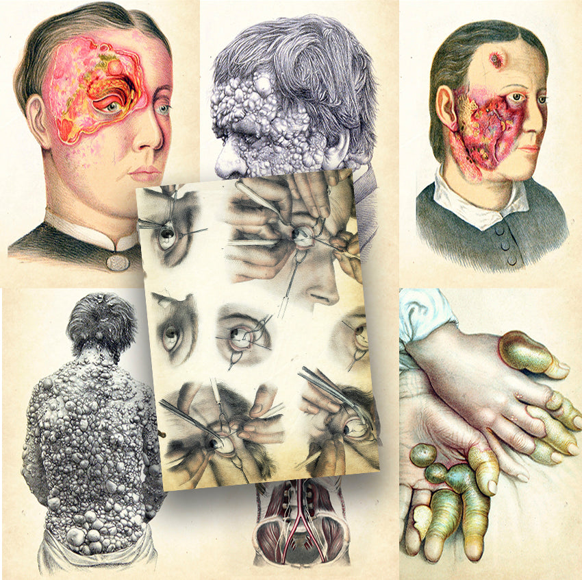 eBook Grotesque ebook Illustrated Monthly