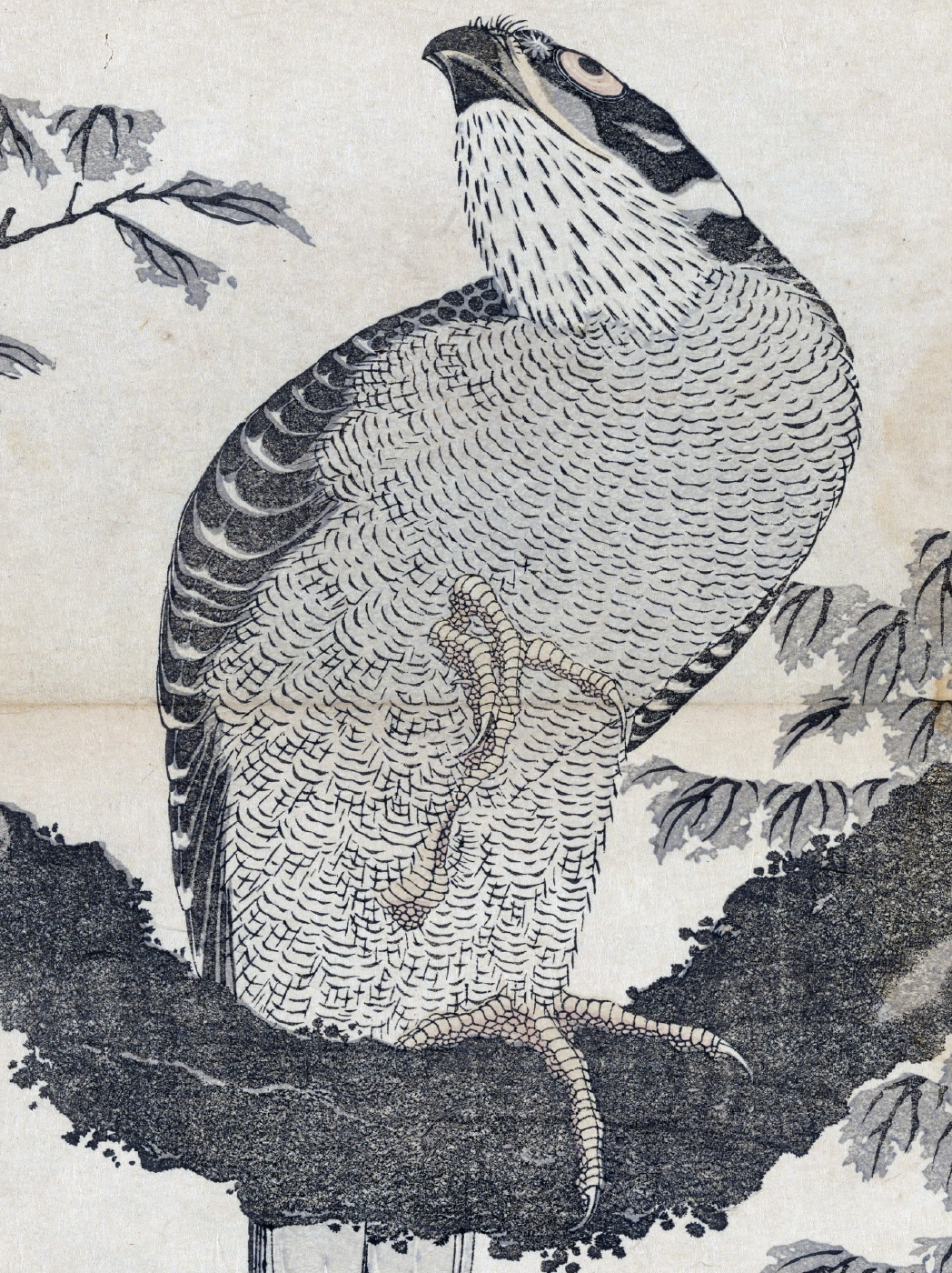 eBook Hokusai ebook big fish