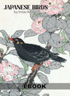 eBook Japanese Birds Illustrated Monthly