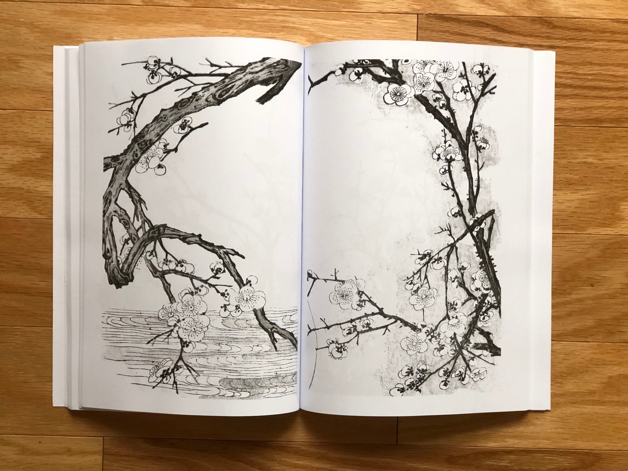 eBook Japanese Foliage ebook big fish