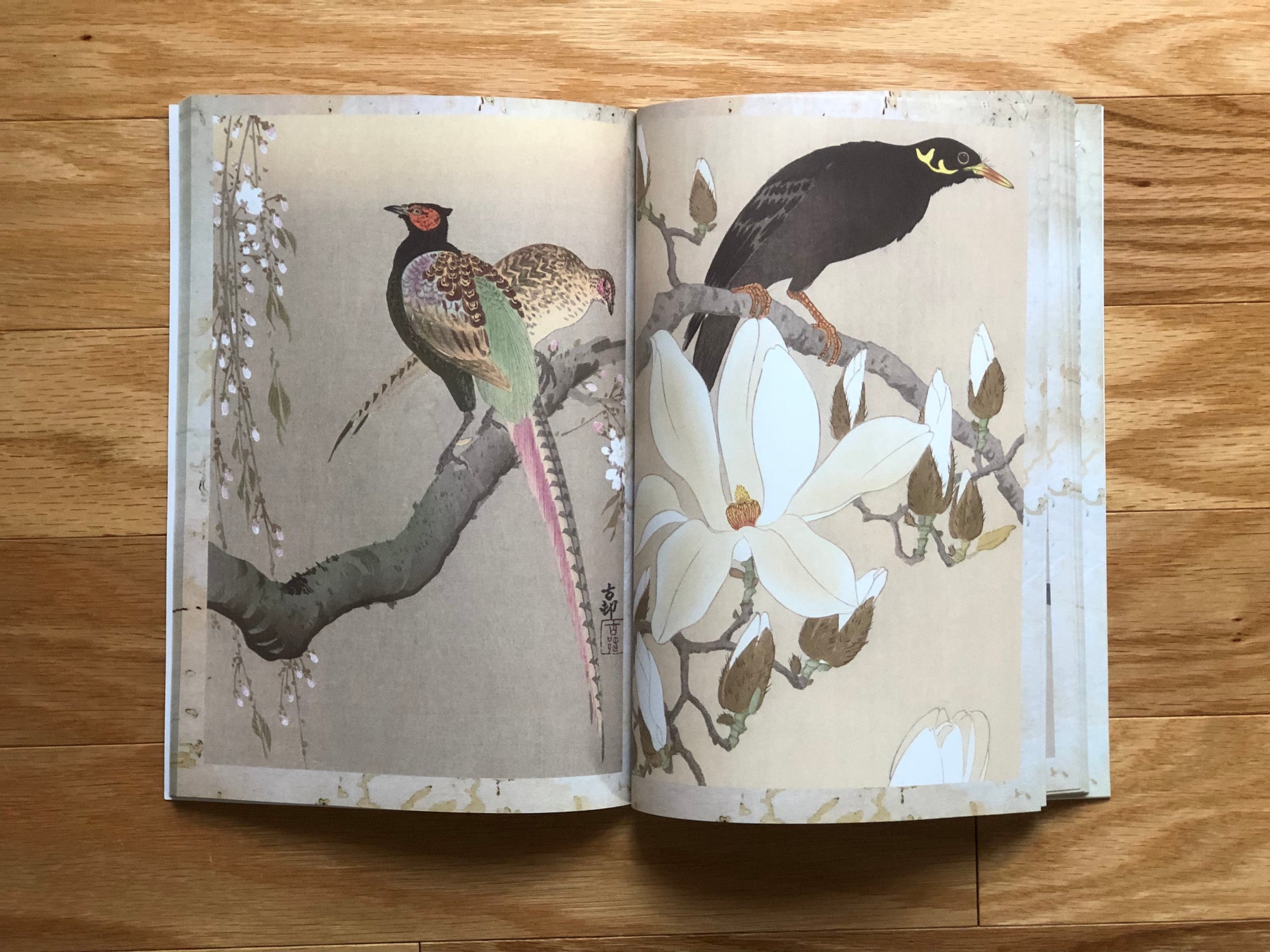 eBook Ohara Koson ebook Illustrated Monthly