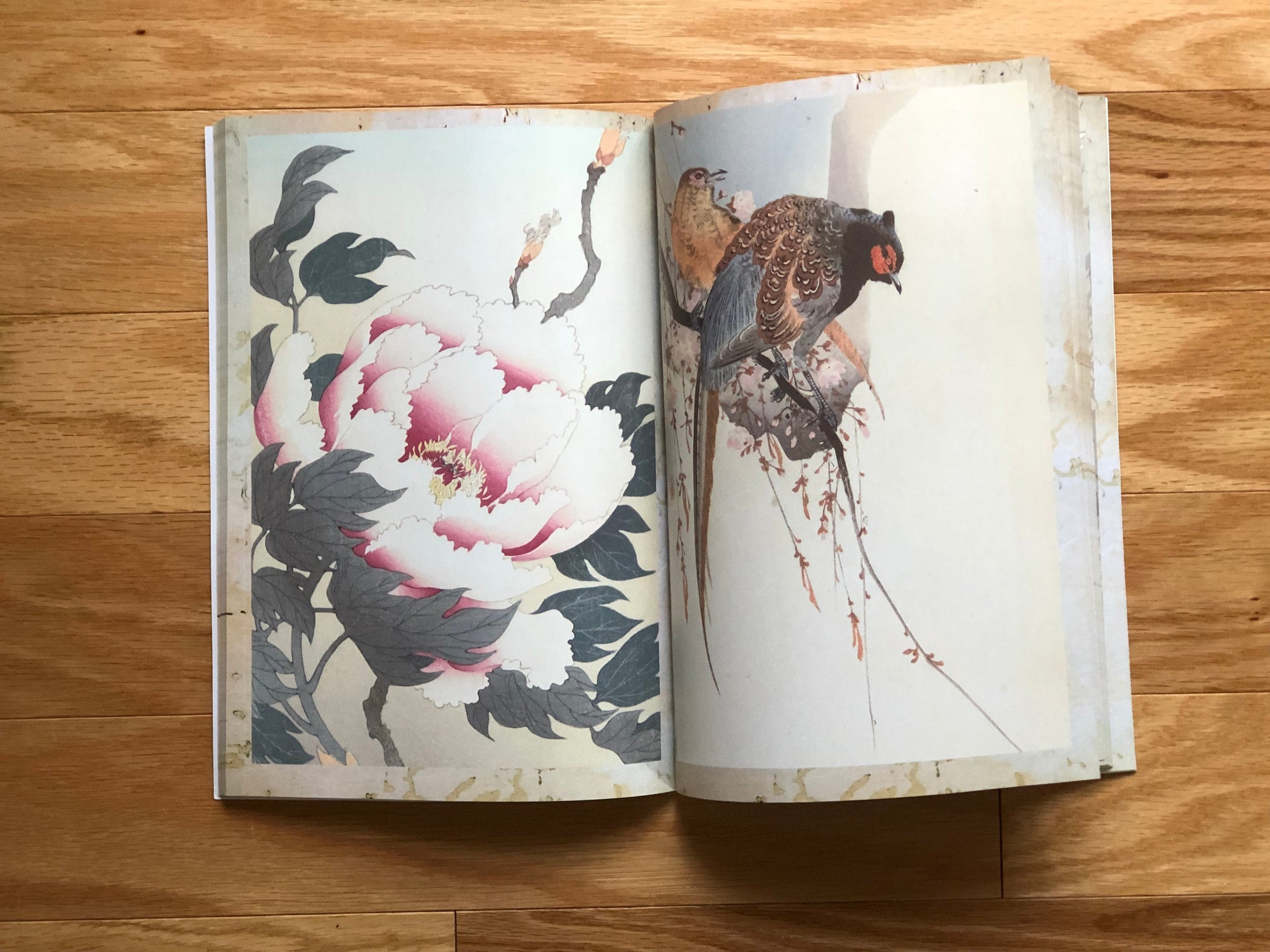 eBook Ohara Koson ebook Illustrated Monthly