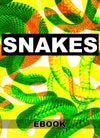 eBook Snakes Illustrated Monthly