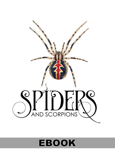 eBook Spiders and Scorpions Illustrated Monthly