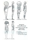 Anatomy Volume 1