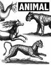 Book Animal Illustrated Monthly