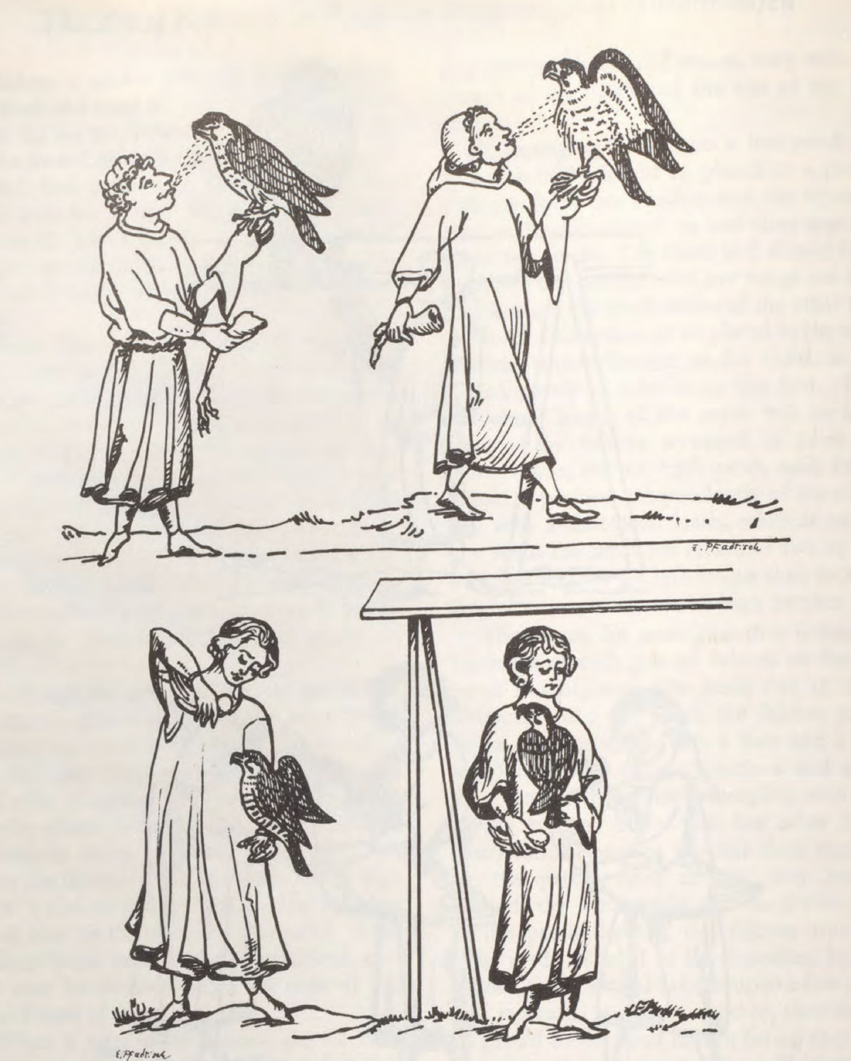 eBook Art of Falconry Illustrated Monthly