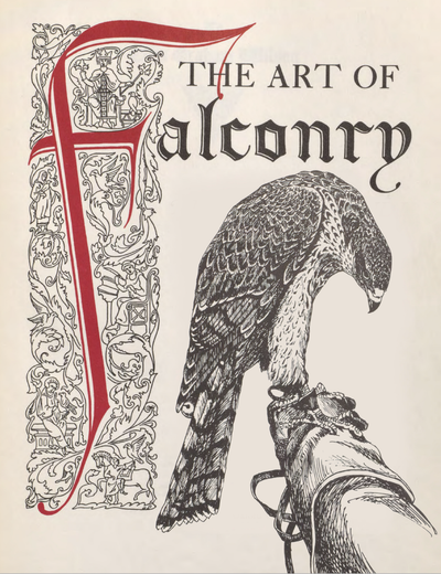 eBook Art of Falconry Illustrated Monthly