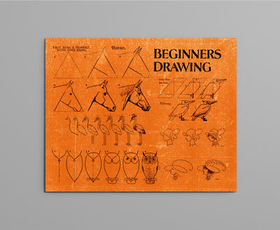 Beginners Drawing