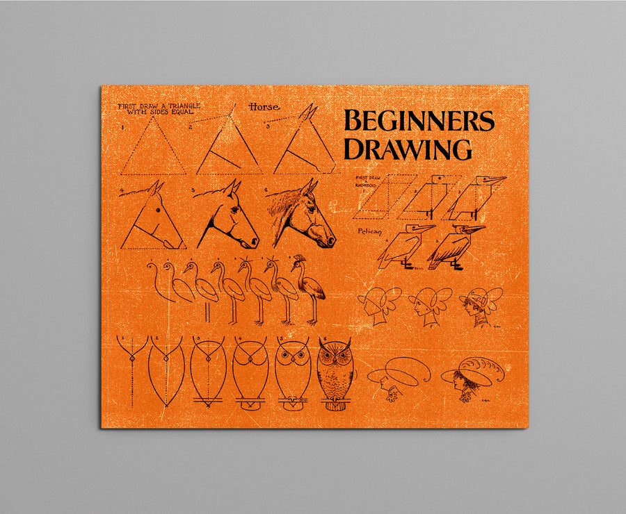 Beginners Drawing