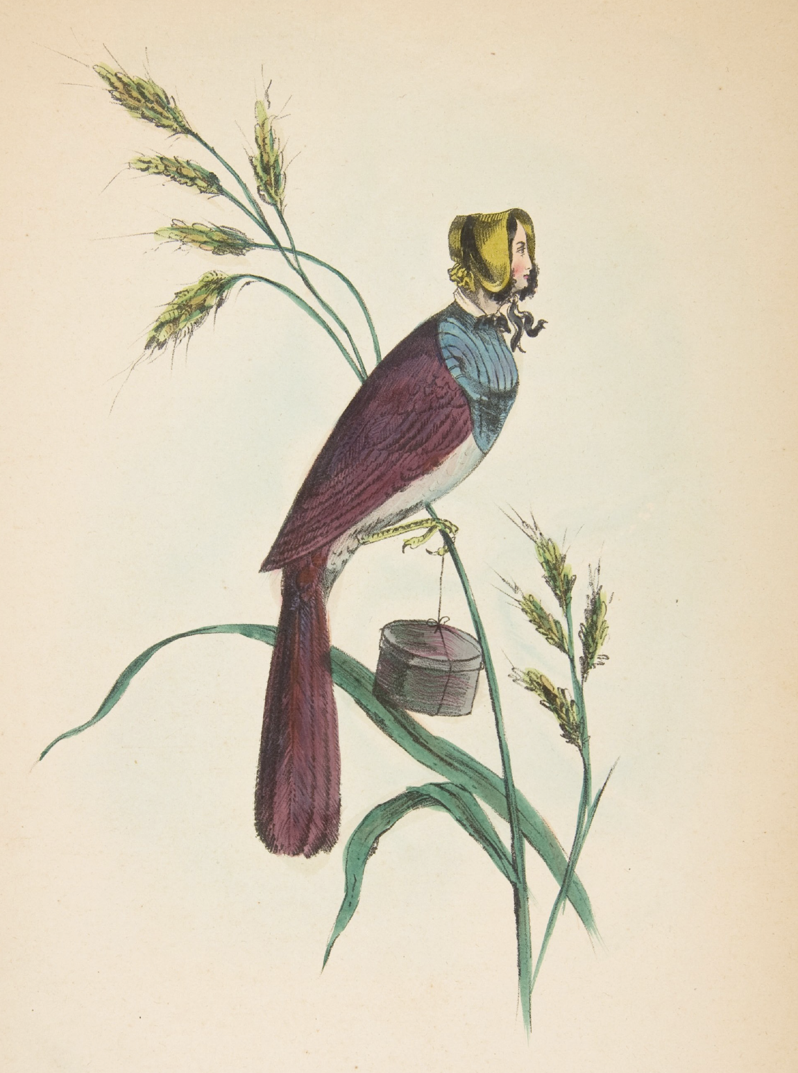 eBook beheaded Illustrated Monthly