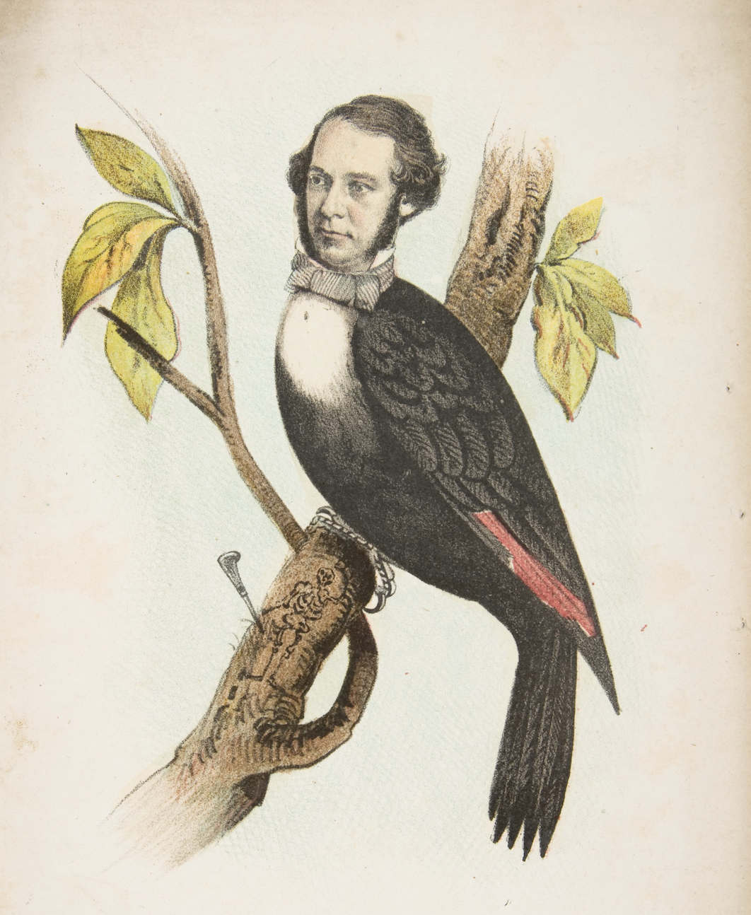 beheaded Birds 3 | eBook | Shop Illustrated Books, eBooks and Prints