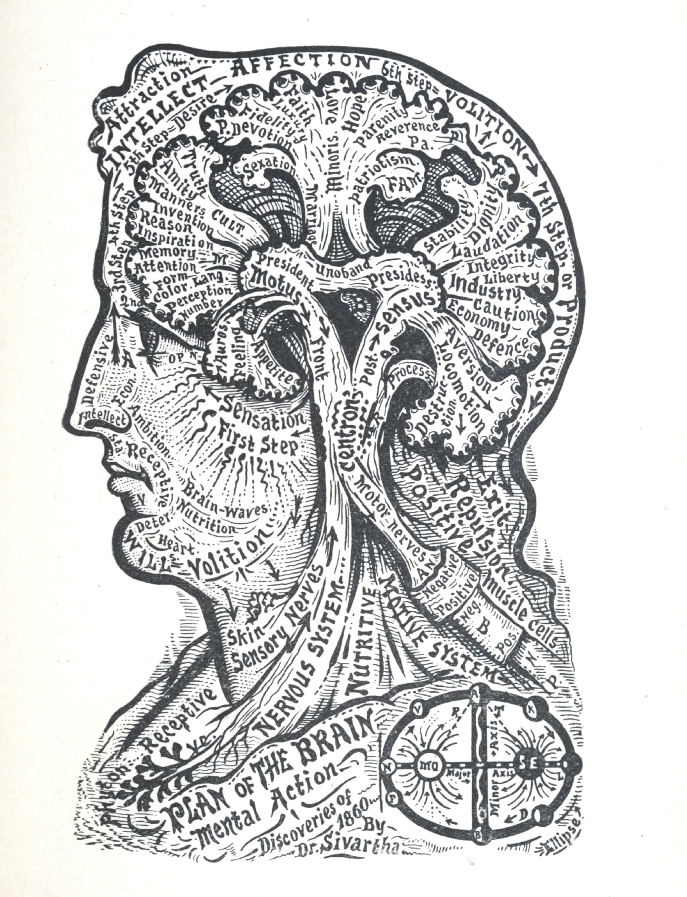 eBook Book of Life big fish