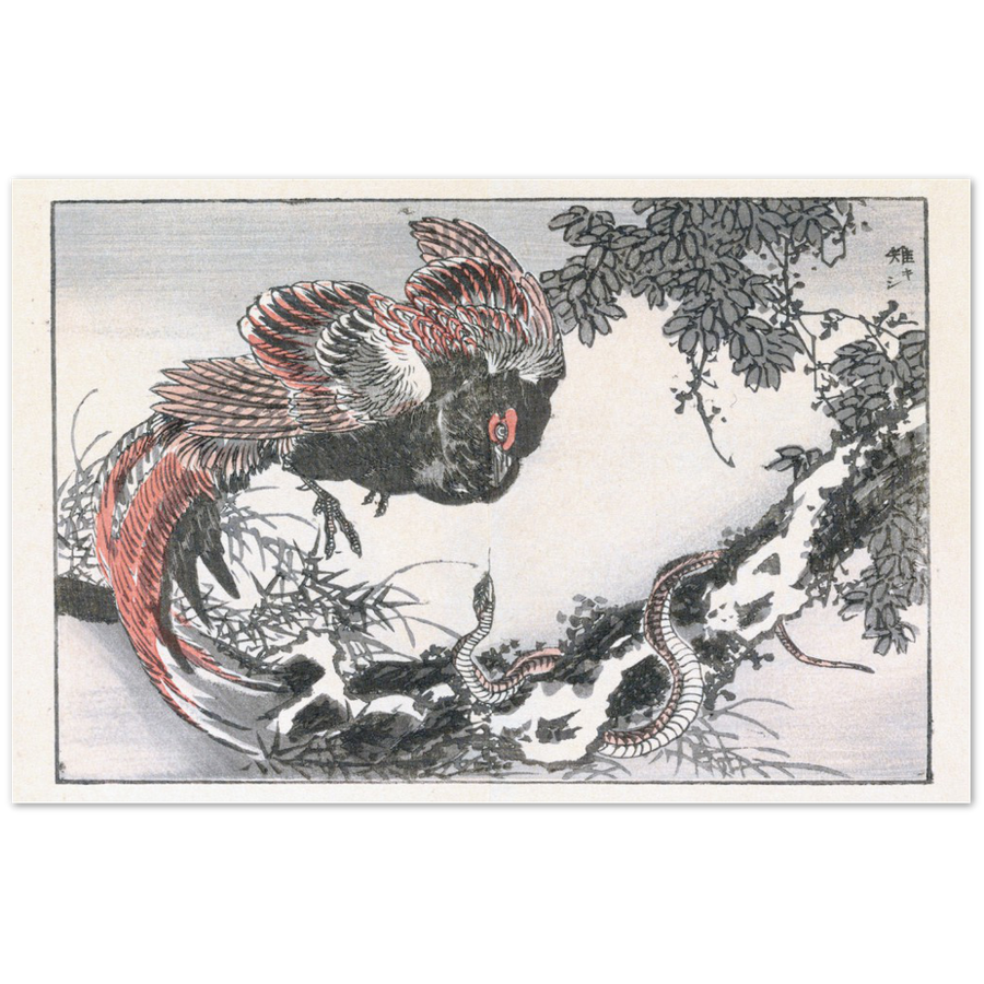 Print Material Bird & Snake Gelato