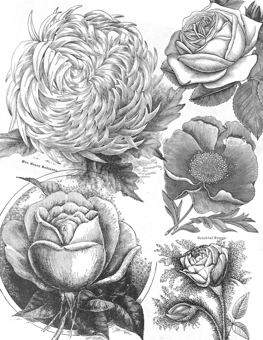 black and gray flowers