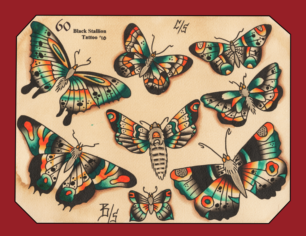 Black Stallion Vol 2