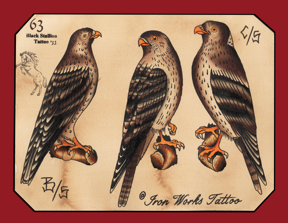 Black Stallion Vol 2