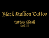 Black Stallion Vol 2