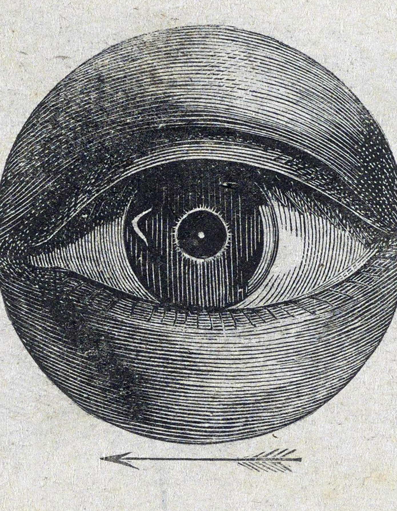 eBook BLACK big fish