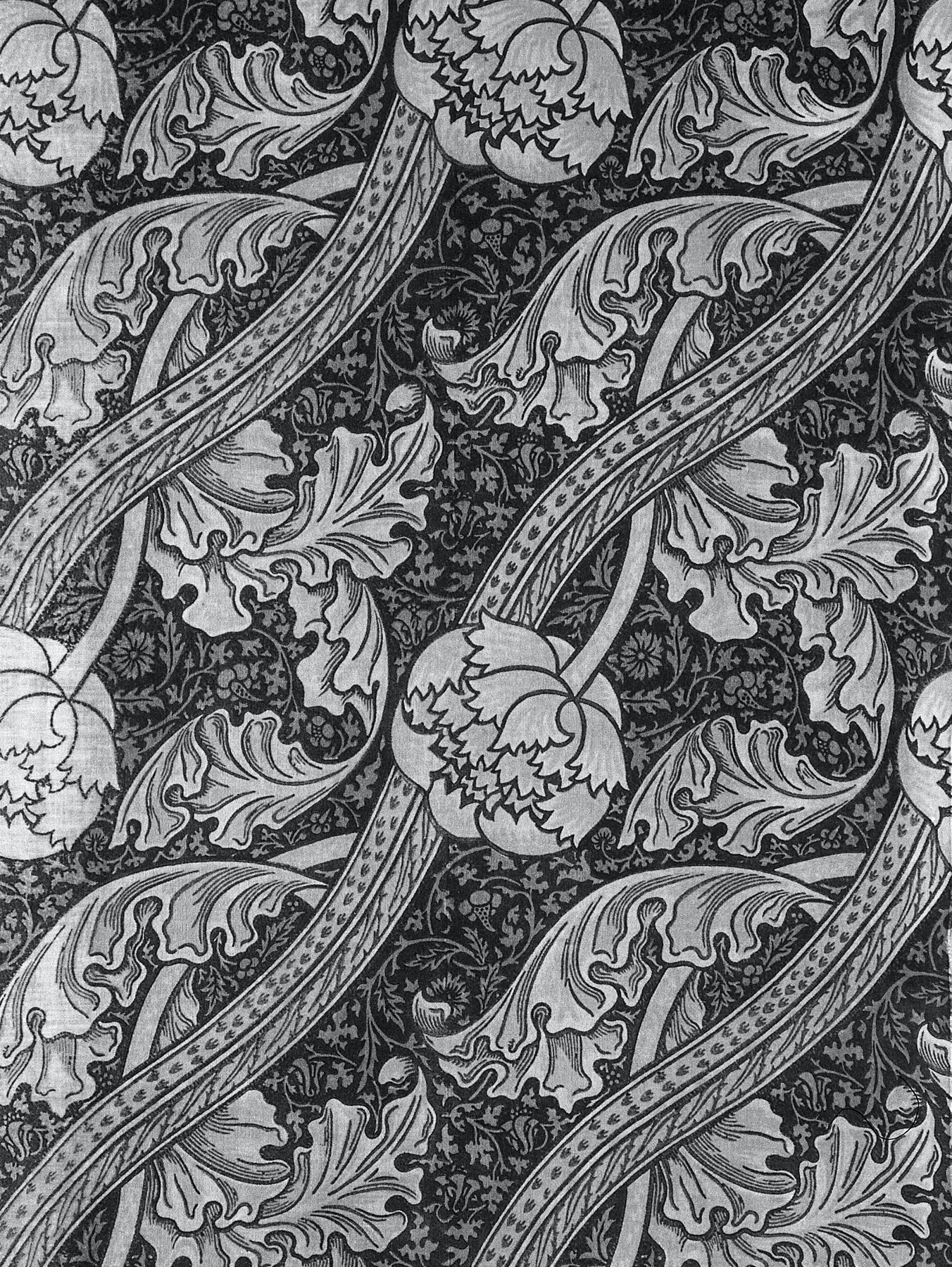 eBook BLACK big fish