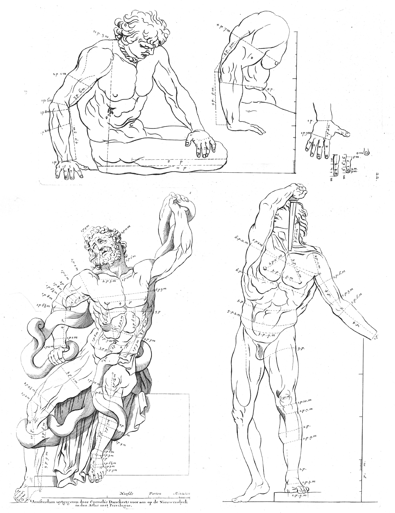 eBook Body Formation big fish