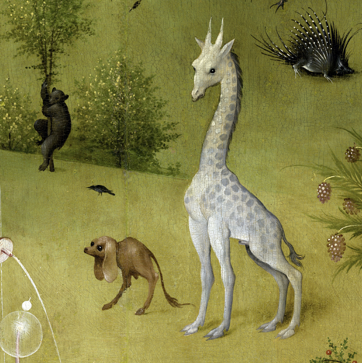 Book Bosch - The Garden of Earthly Delights Illustrated Monthly