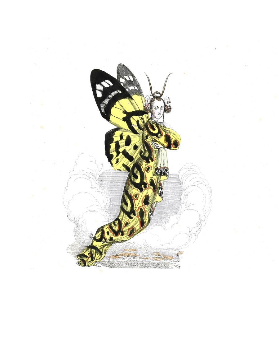 eBook Butterfly Folks Illustrated Monthly