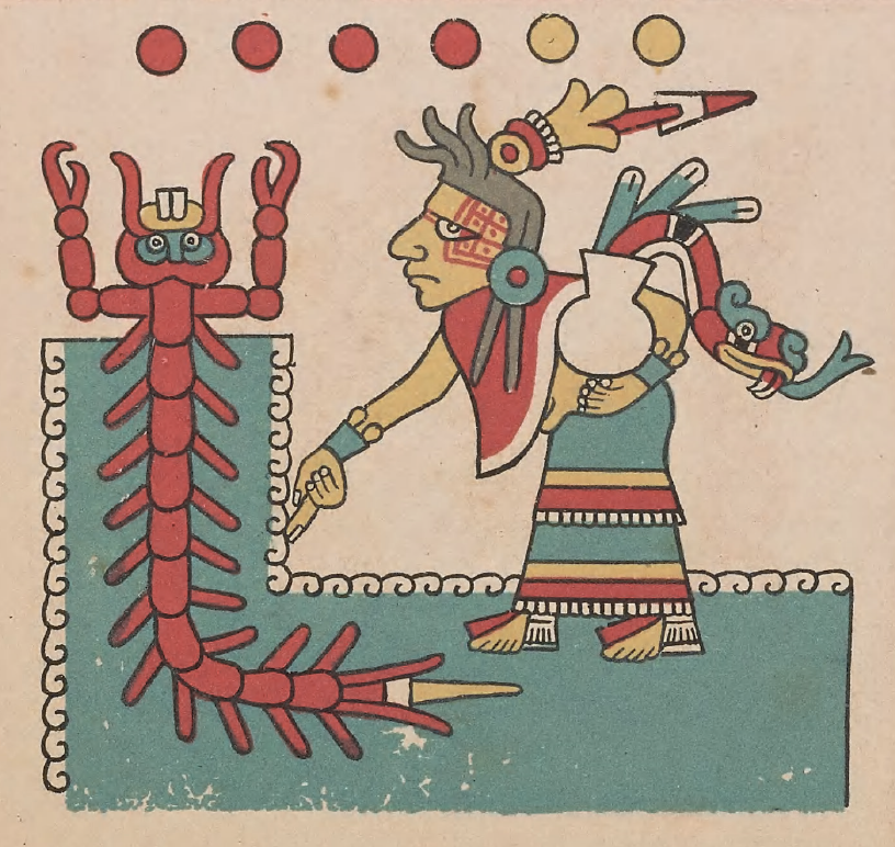 eBook Codex Fejérváry-Mayer big fish