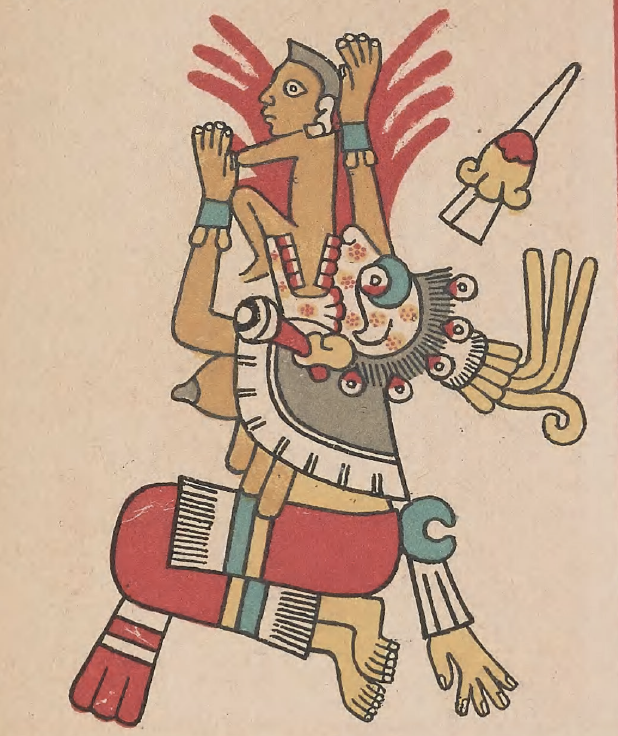 eBook Codex Fejérváry-Mayer big fish