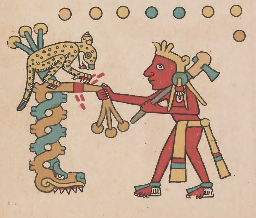 eBook Codex Fejérváry-Mayer big fish