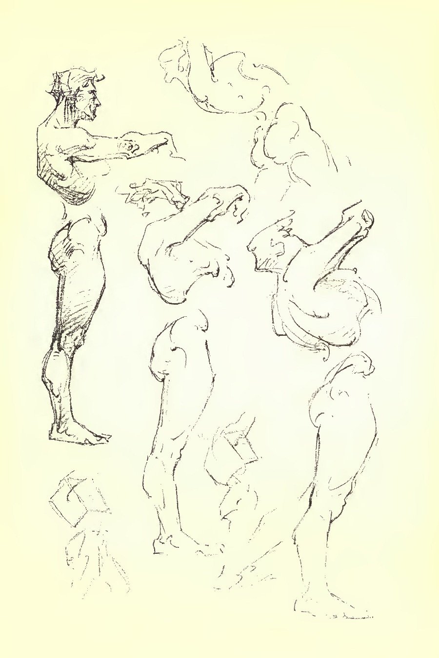 Construction of Anatomy