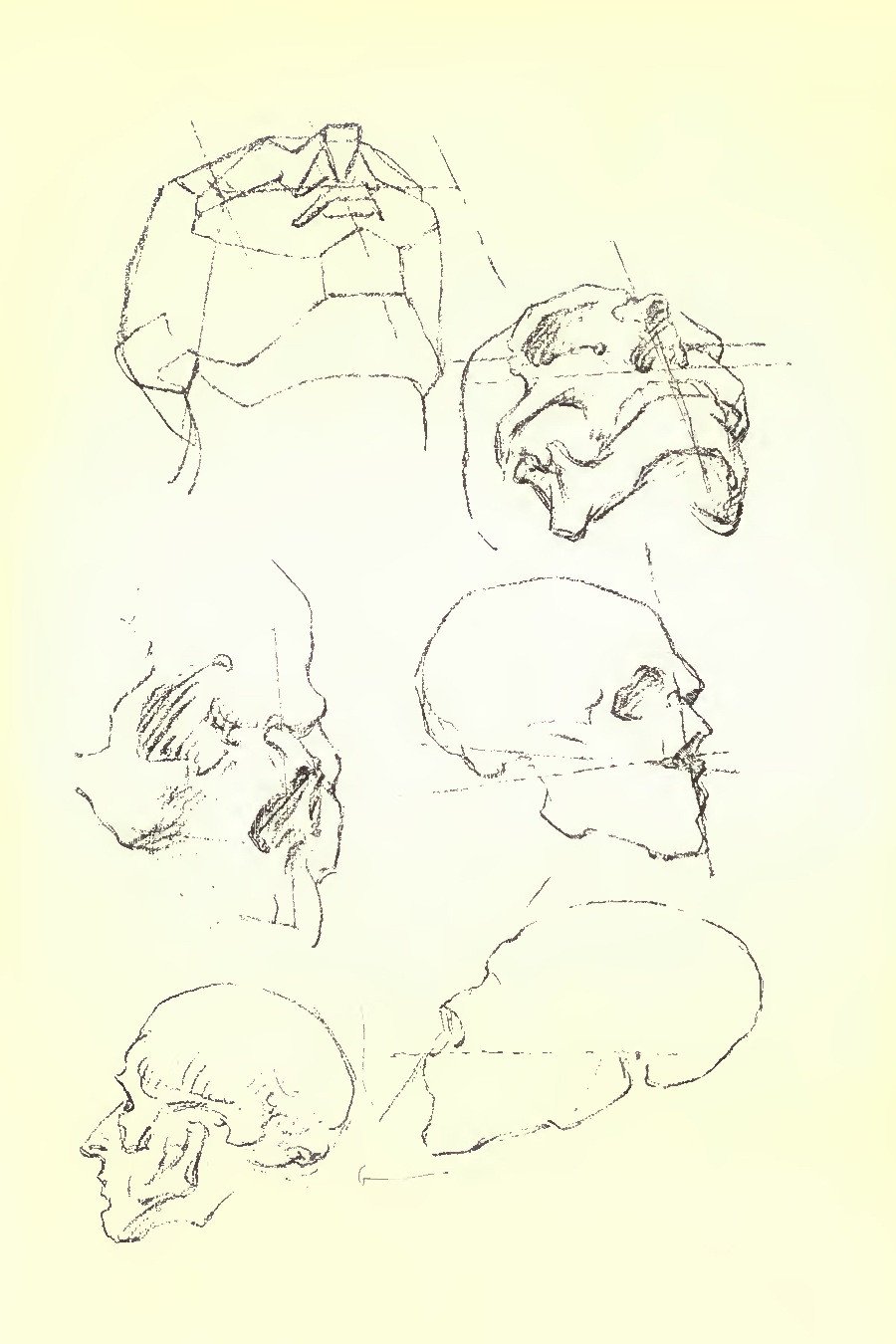 Construction of Anatomy