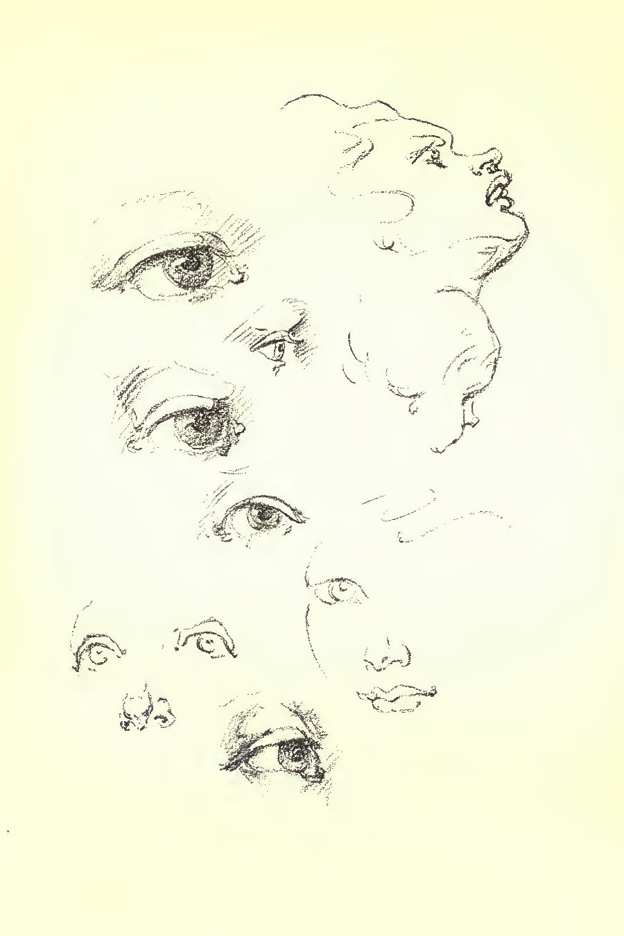 Construction of Anatomy