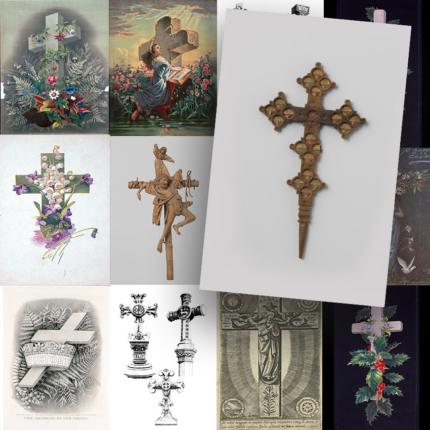 Book crosses big fish