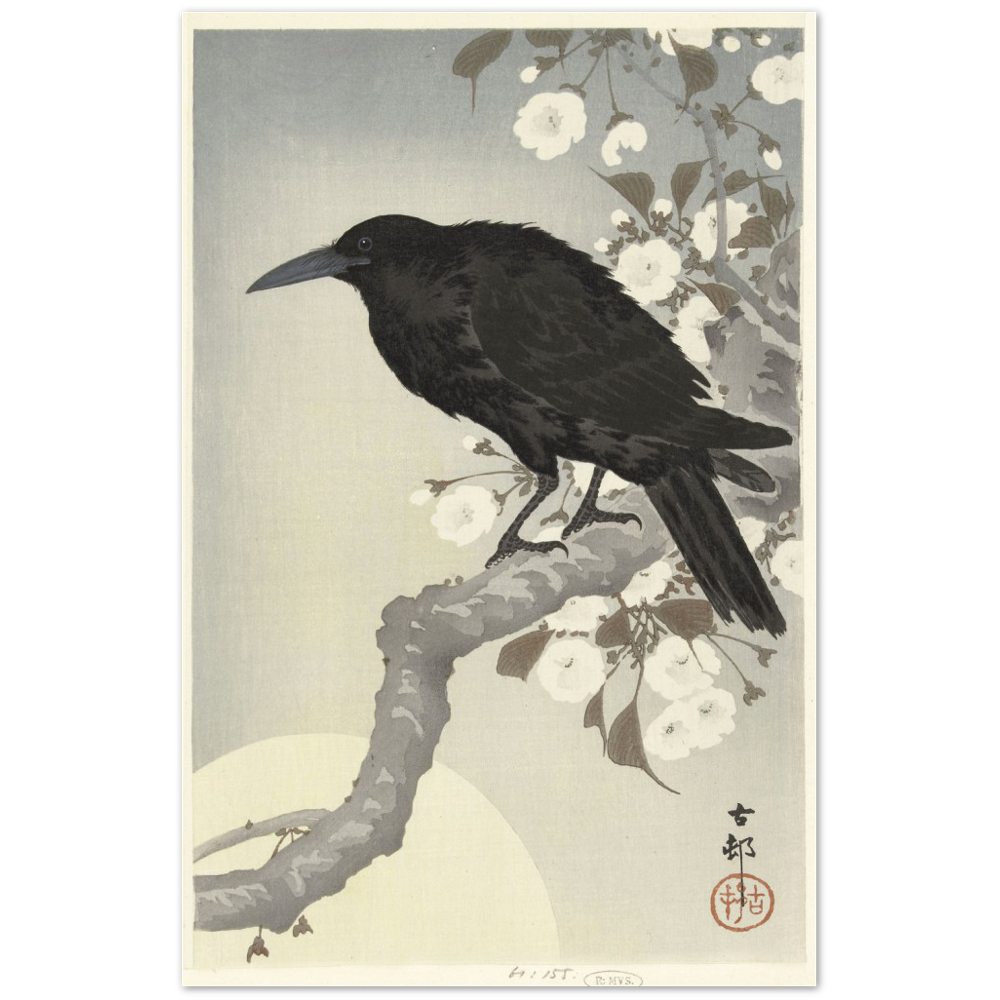 Print Material Crow at full moon Gelato