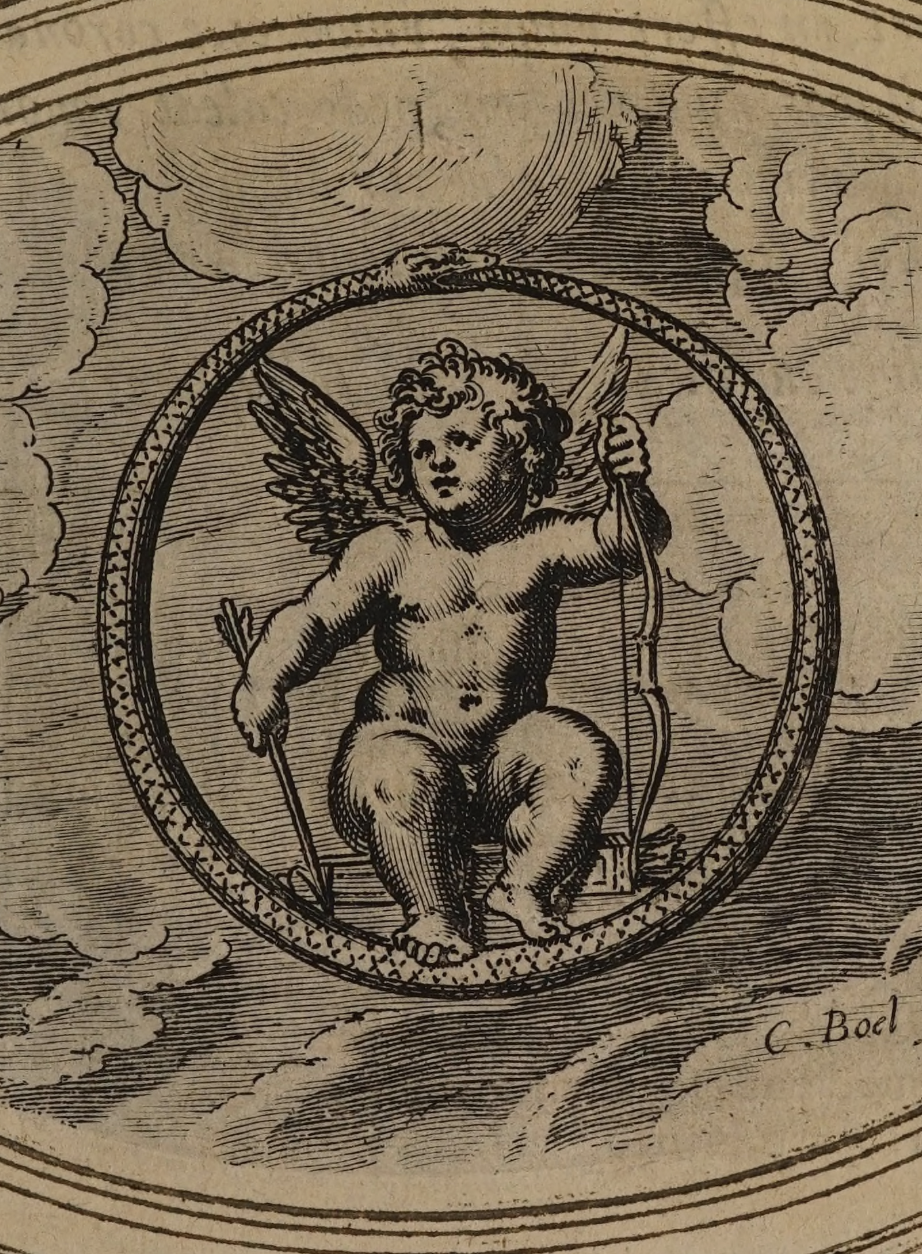 eBook Cupid big fish