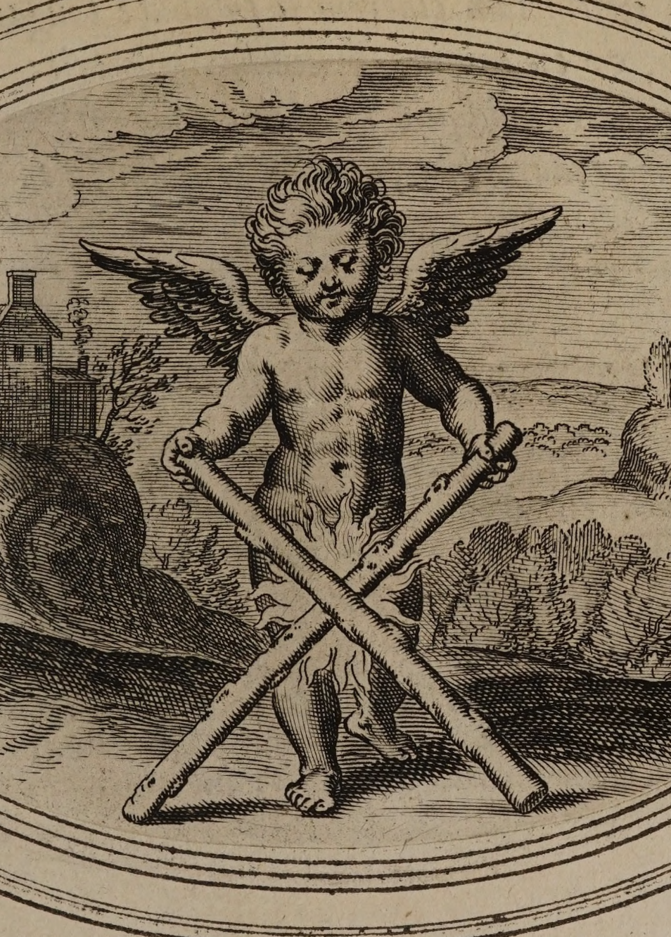 eBook Cupid big fish