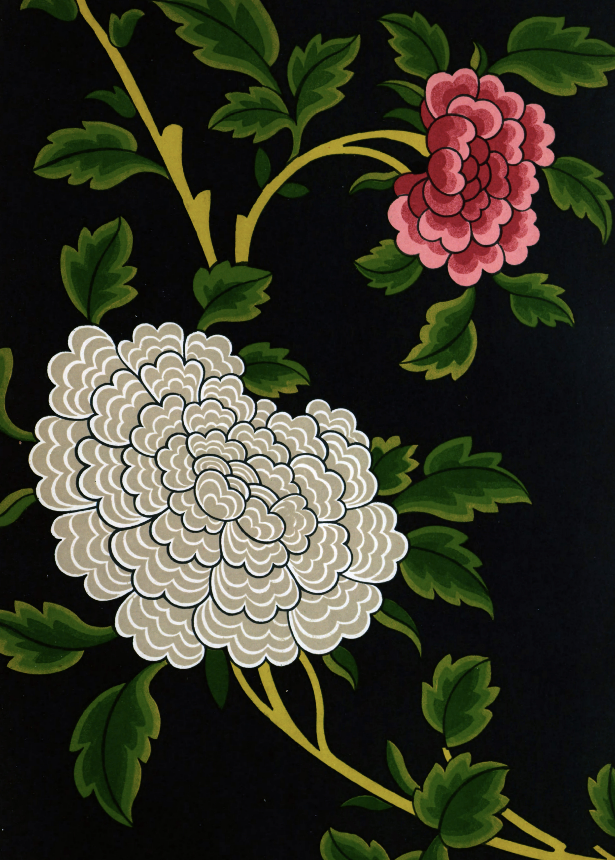 eBook Design Study big fish